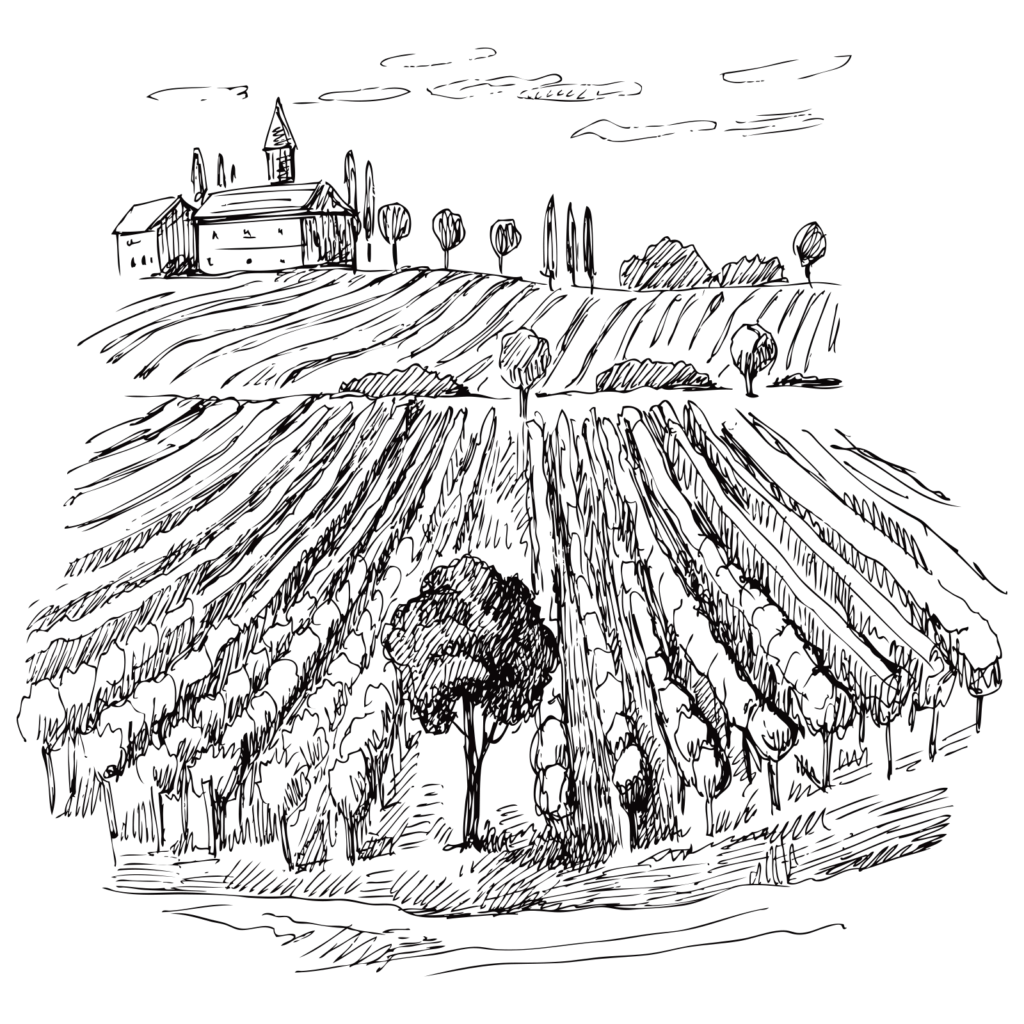 VintnersFinish-Illustration